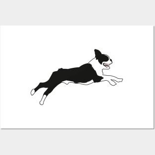 Boston Terrier in Green Posters and Art